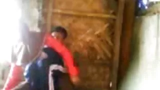 پیاری ہیلس میں کیر تو کس الکسیس تگزاس لی بیل